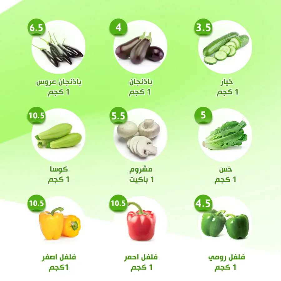 Offers In Al Nahda Masriya Abu Dhabi