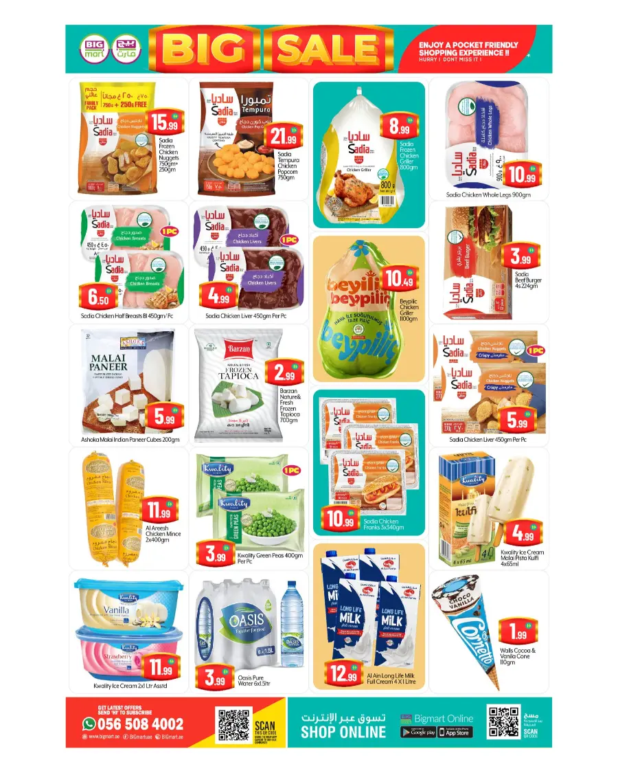 Big Sale In BIG mart Dubai