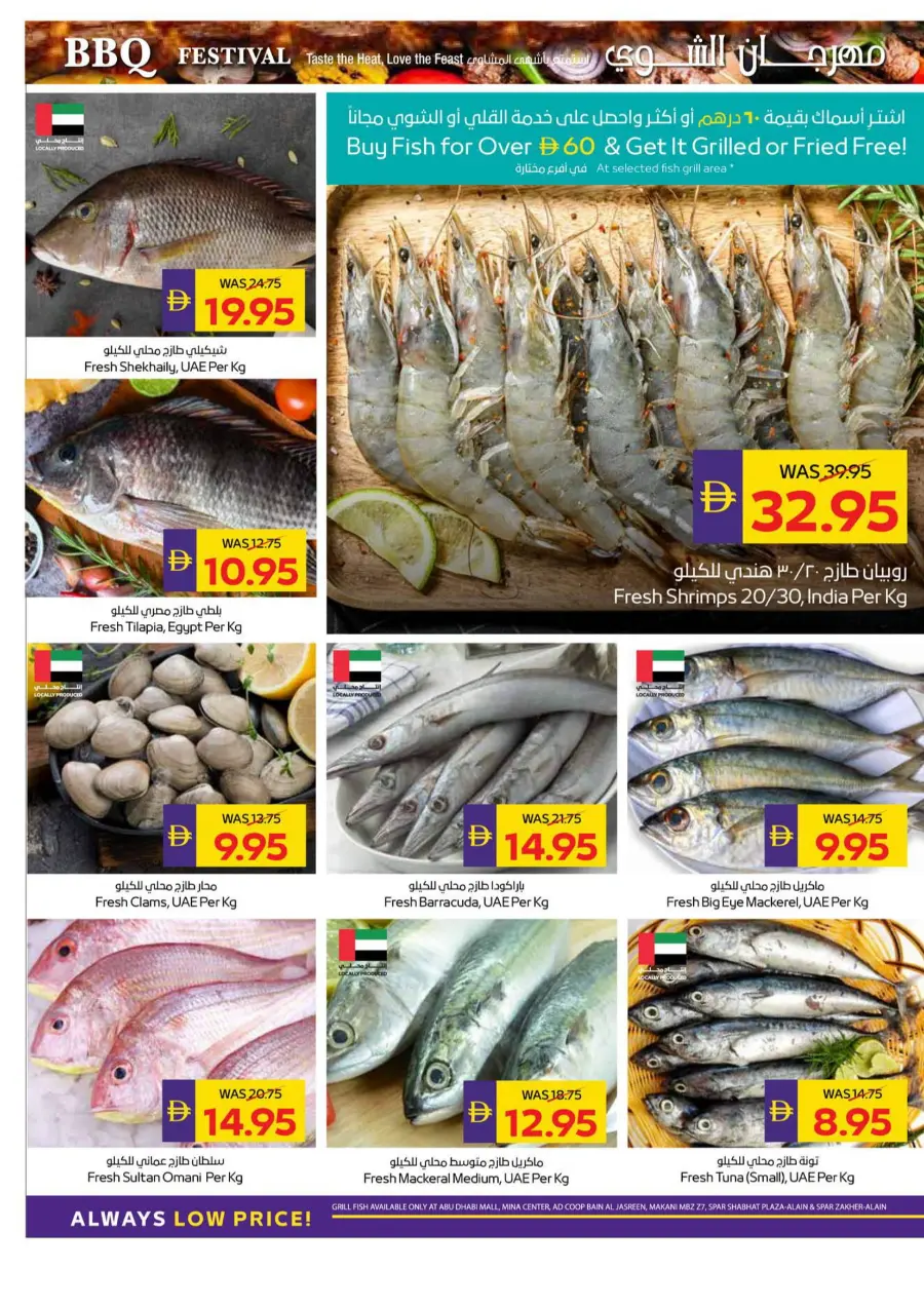 Let's Go Camping – Weekly Offers & Outdoor Deals! In Abu Dhabi Coop Umm al Quwain