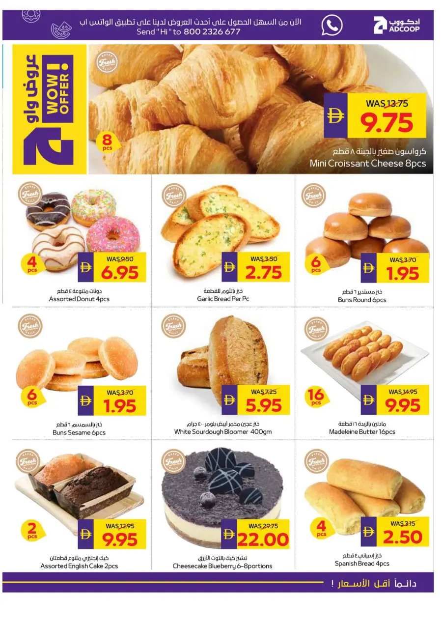 Let's Go Camping – Weekly Offers & Outdoor Deals! In Abu Dhabi Coop Umm al Quwain