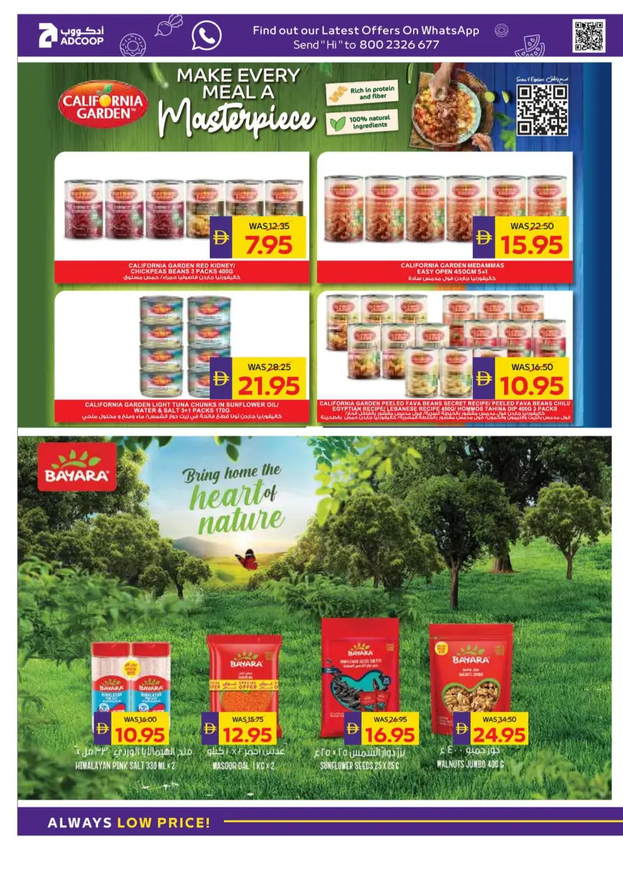 Let's Go Camping – Weekly Offers & Outdoor Deals! In Abu Dhabi Coop Umm al Quwain