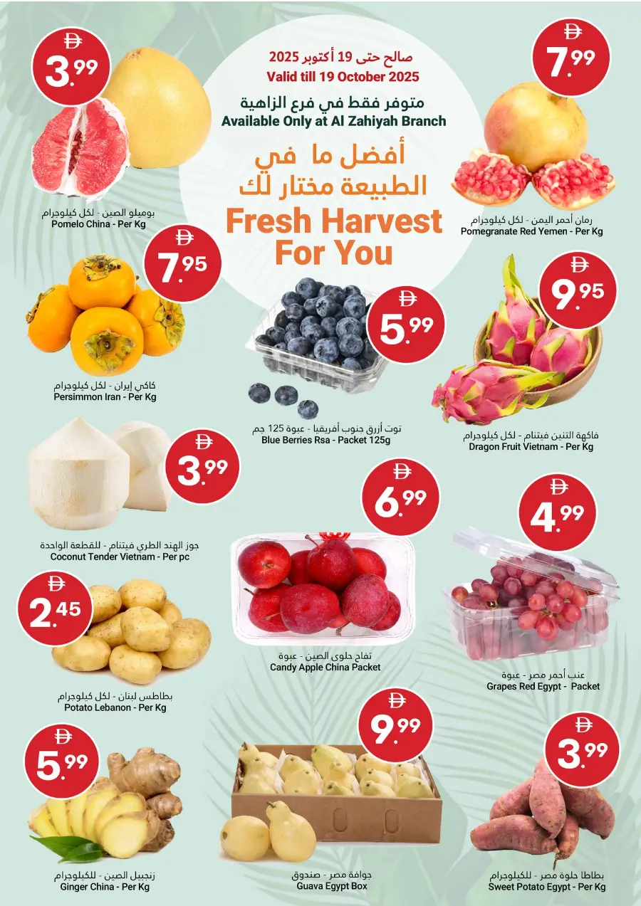 Grand Savings In Grand Emirates Market Abu Dhabi
