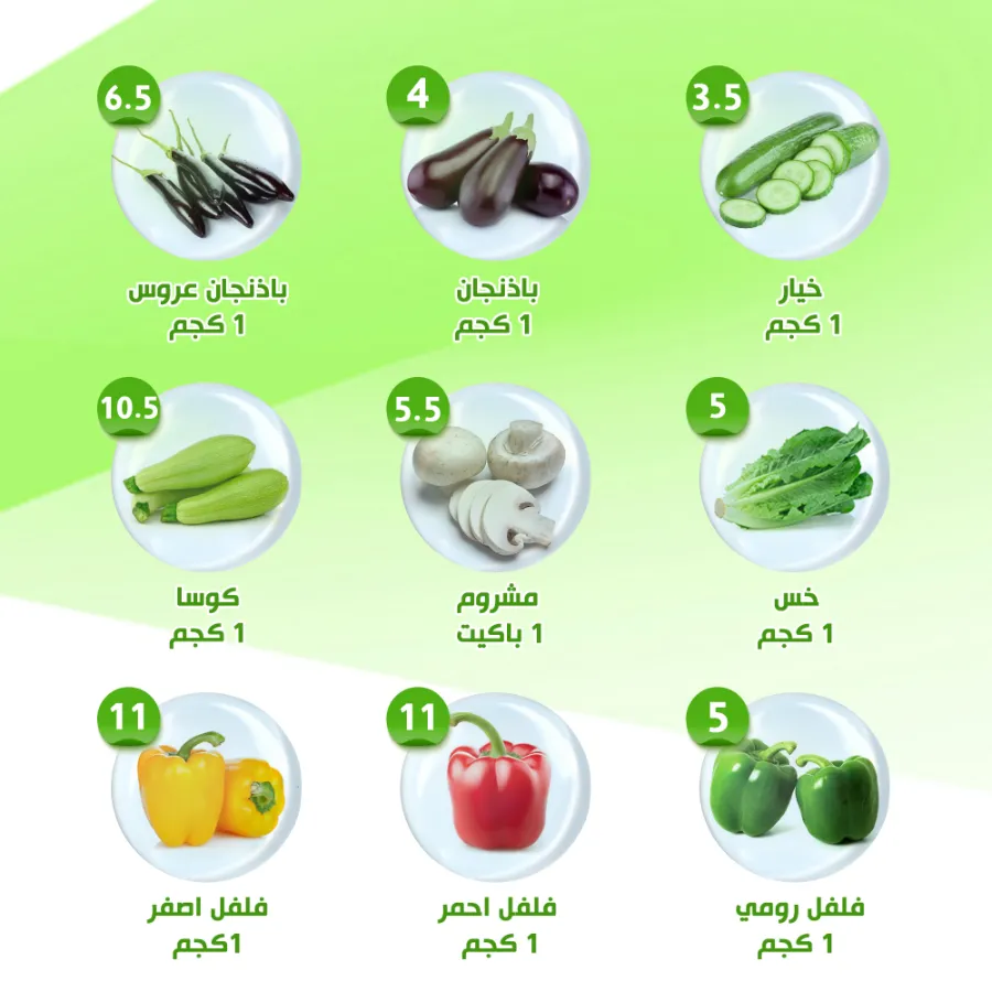 Offers In Al Nahda Masriya Abu Dhabi
