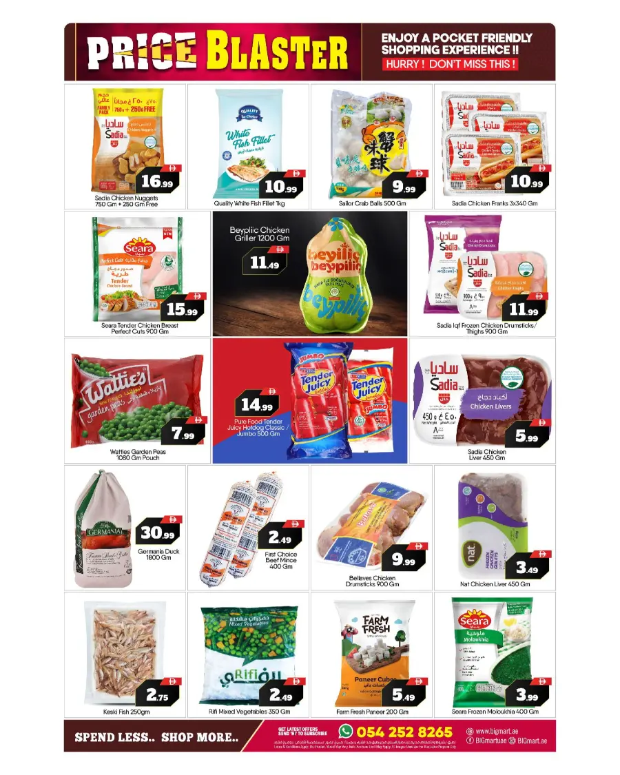Price blaster In BIG mart Abu Dhabi