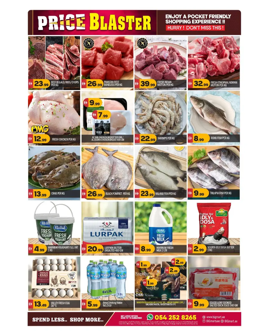 Price blaster In BIG mart Abu Dhabi