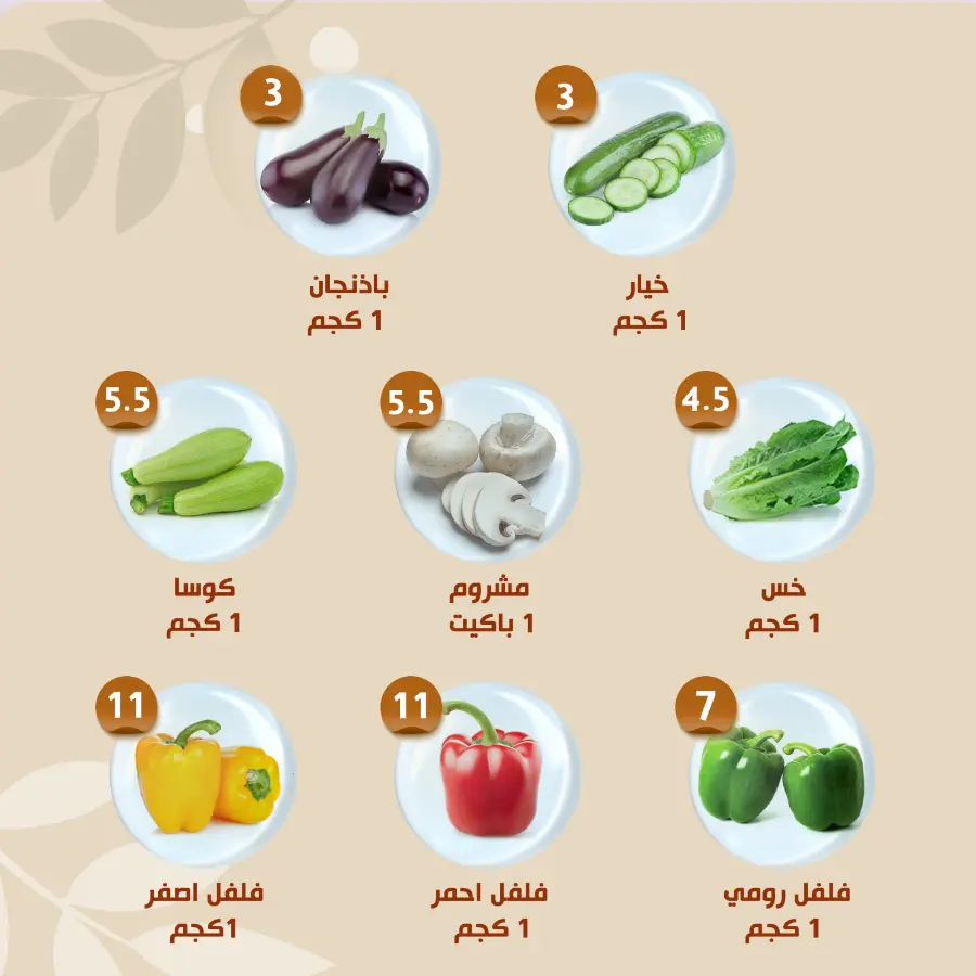 Offers In Al Nahda Masriya Abu Dhabi
