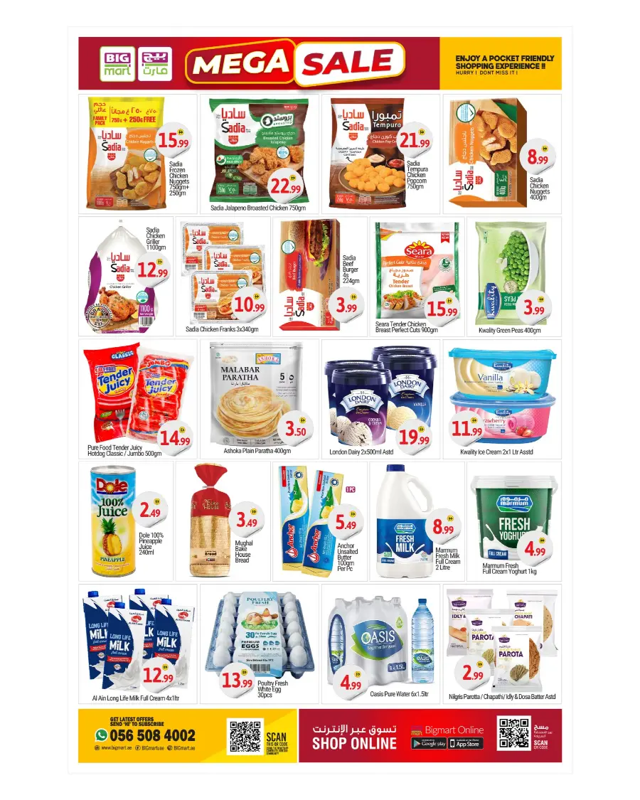 Mega Sale In BIG mart Dubai