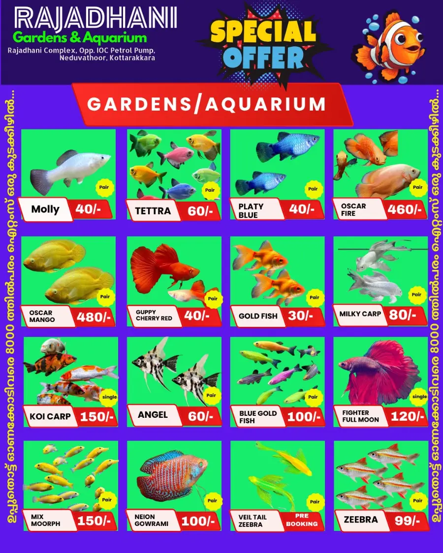 Saturday offer In Rajadhani Hypermart Kollam