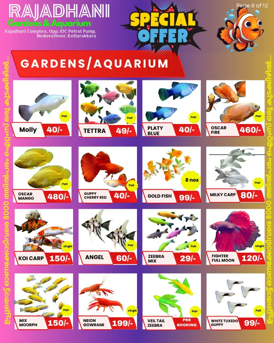 Weekend offer In Rajadhani Hypermart Kollam