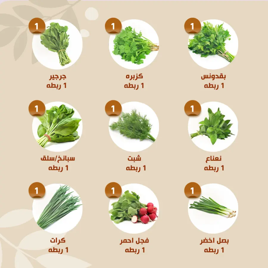 Offers In Al Nahda Masriya Abu Dhabi