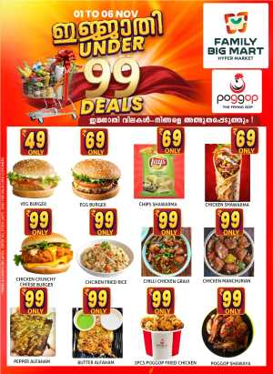 Under 99 Deals In Family Big Mart Calicut
