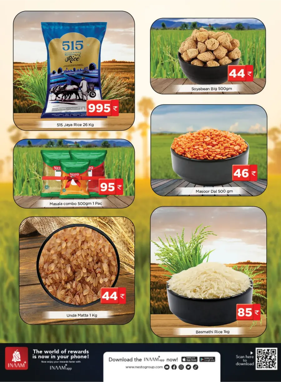 Chovva Chantha Chovva Chantha In Nesto Hypermarket Malappuram