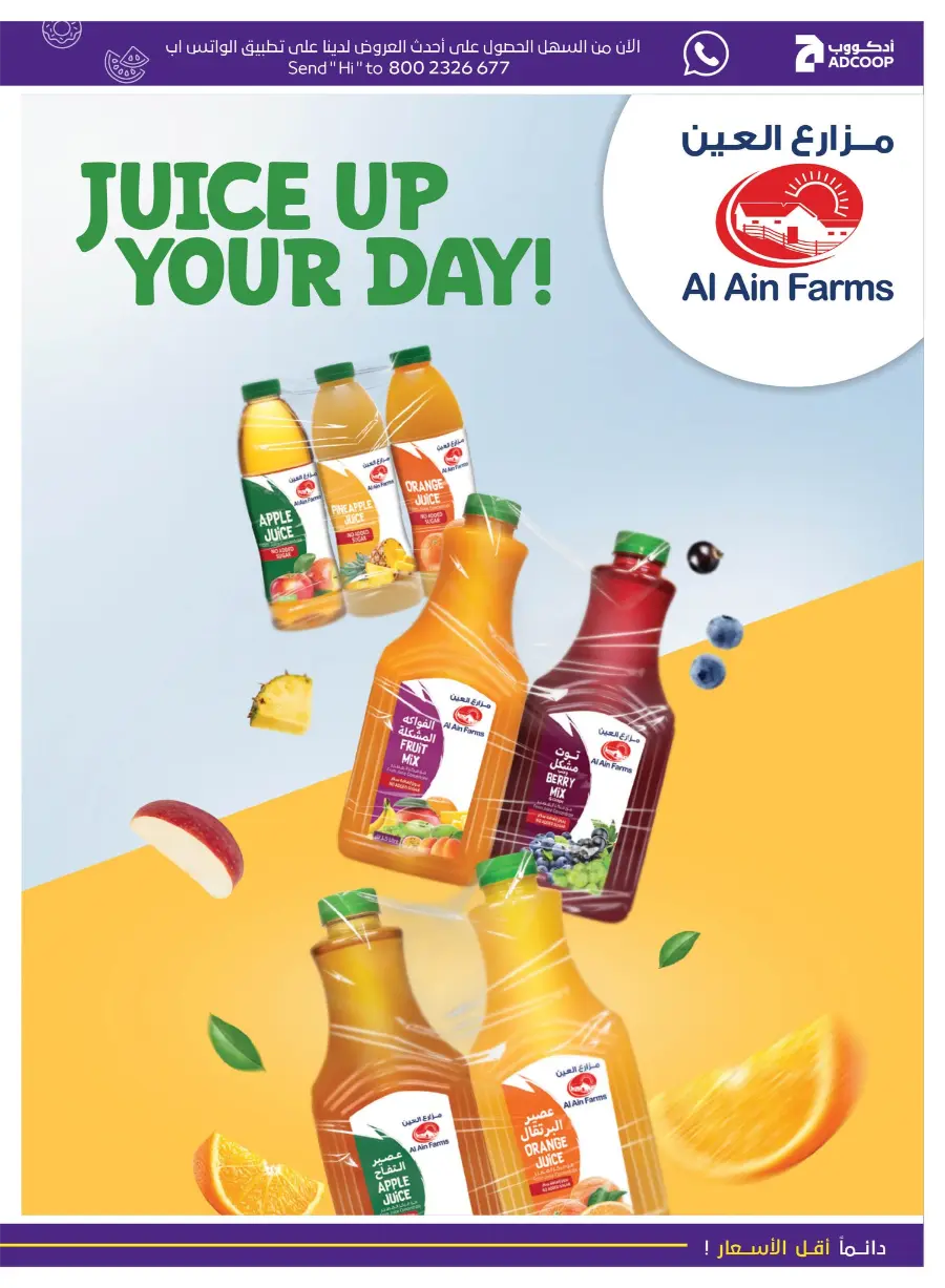 Camping & Snacking Deals In Abu Dhabi Coop Ras al Khaimah