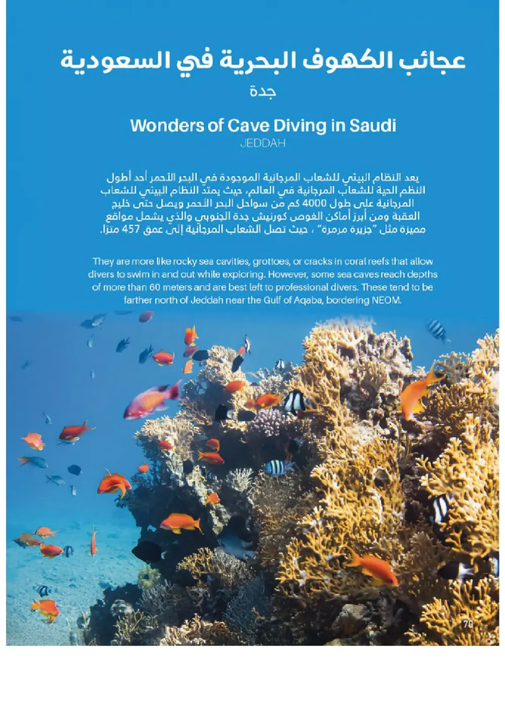 Outdoor Furniture Catalogue