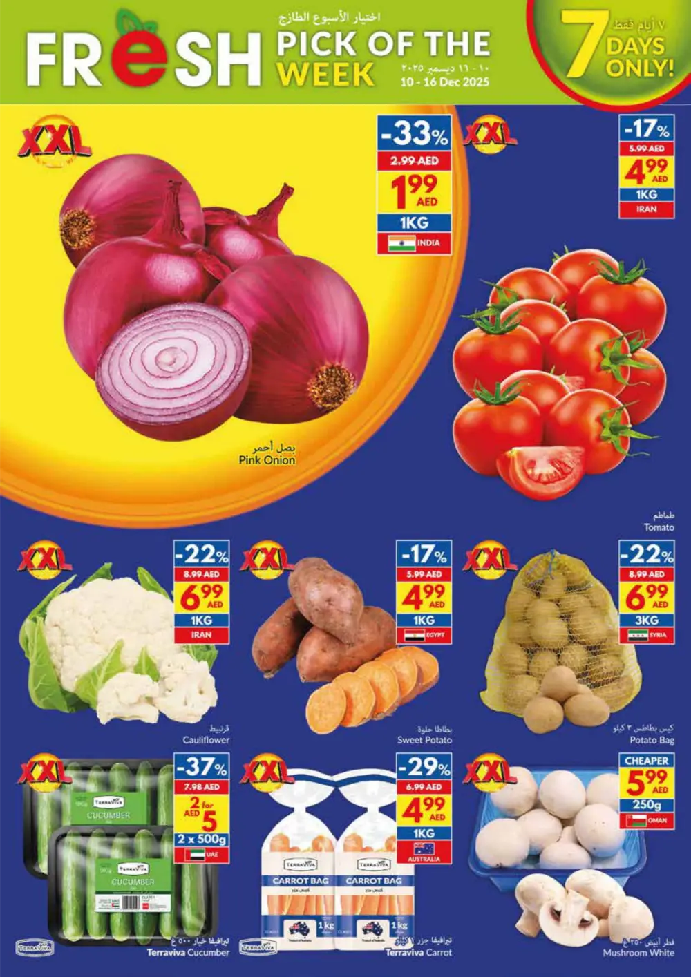 VIVA XXL Big Packs: Big Savings, Lower Prices!