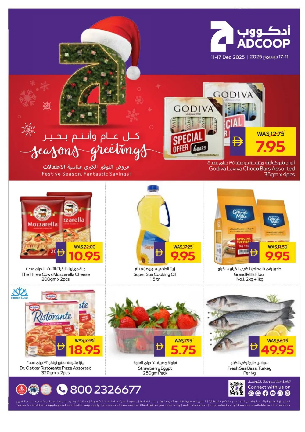 Season’s Greetings: Exclusive Festive Offers are Here!