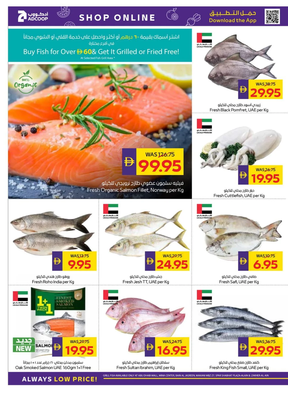 Season’s Greetings: Exclusive Festive Offers are Here!