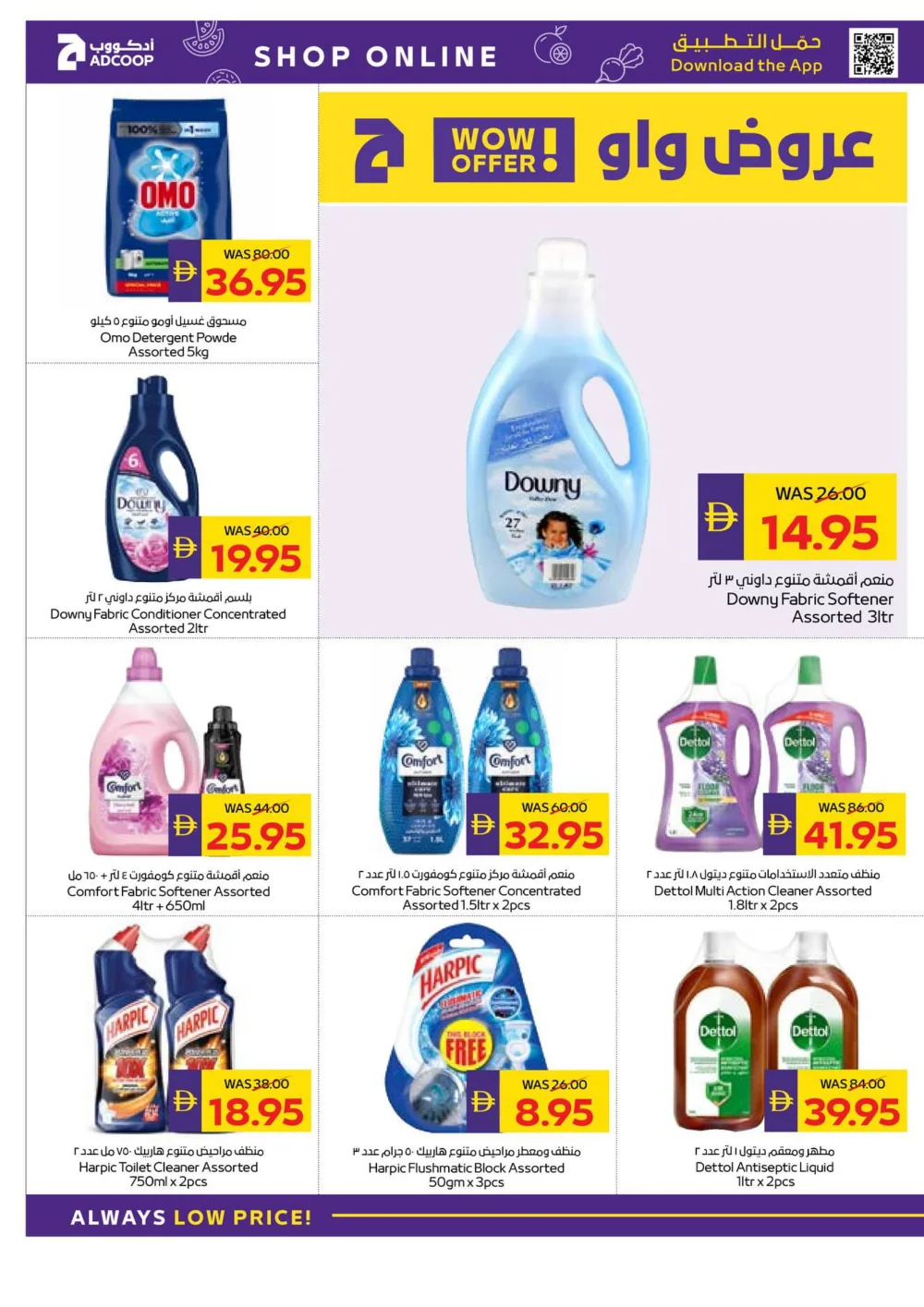 Season’s Greetings: Exclusive Festive Offers are Here!