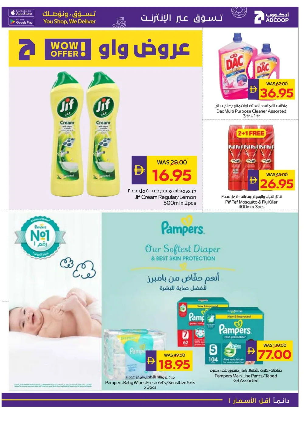 Season’s Greetings: Exclusive Festive Offers are Here!