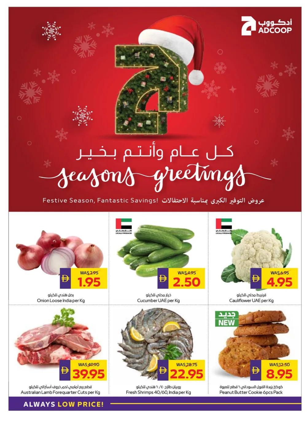 Season’s Greetings: Exclusive Festive Offers are Here!
