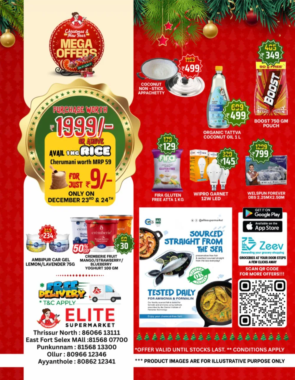 Christmas & New Year Mega Offers!