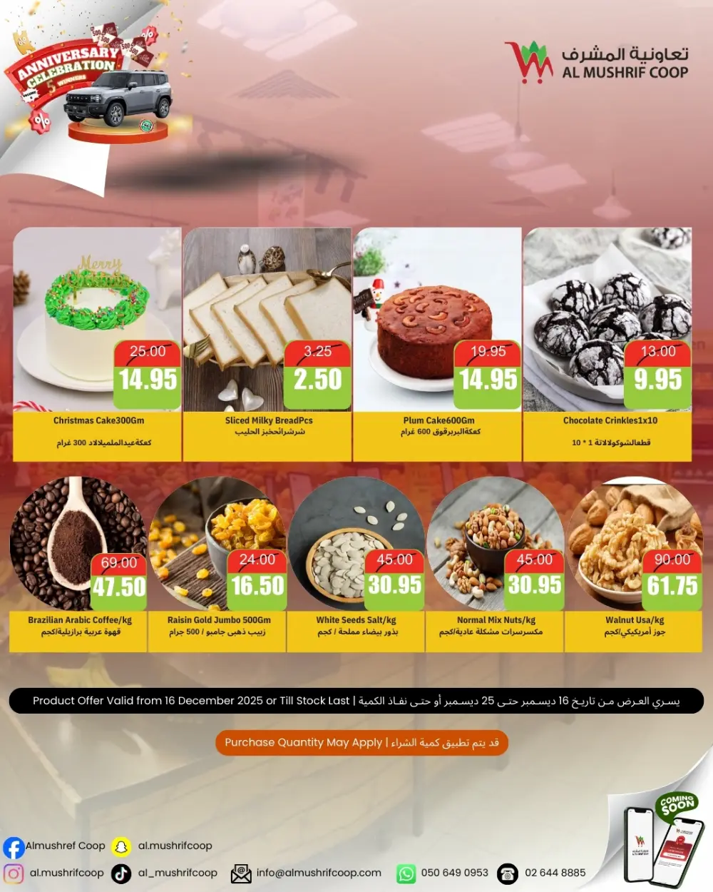 Mega Anniversary Sale!