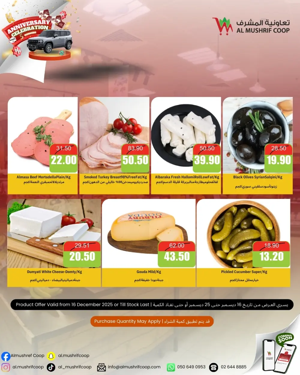 Mega Anniversary Sale!