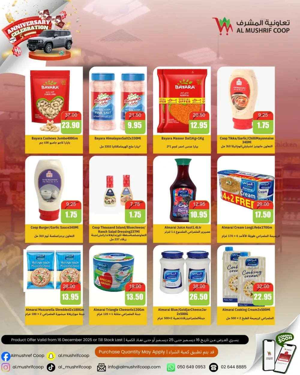 Mega Anniversary Sale!