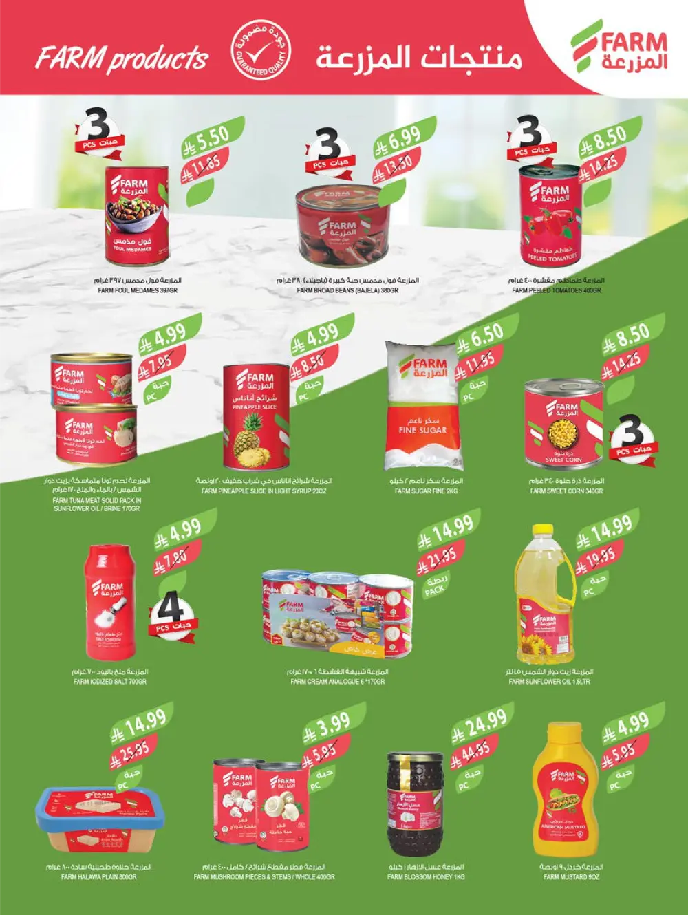 Year-End Mega Savings!