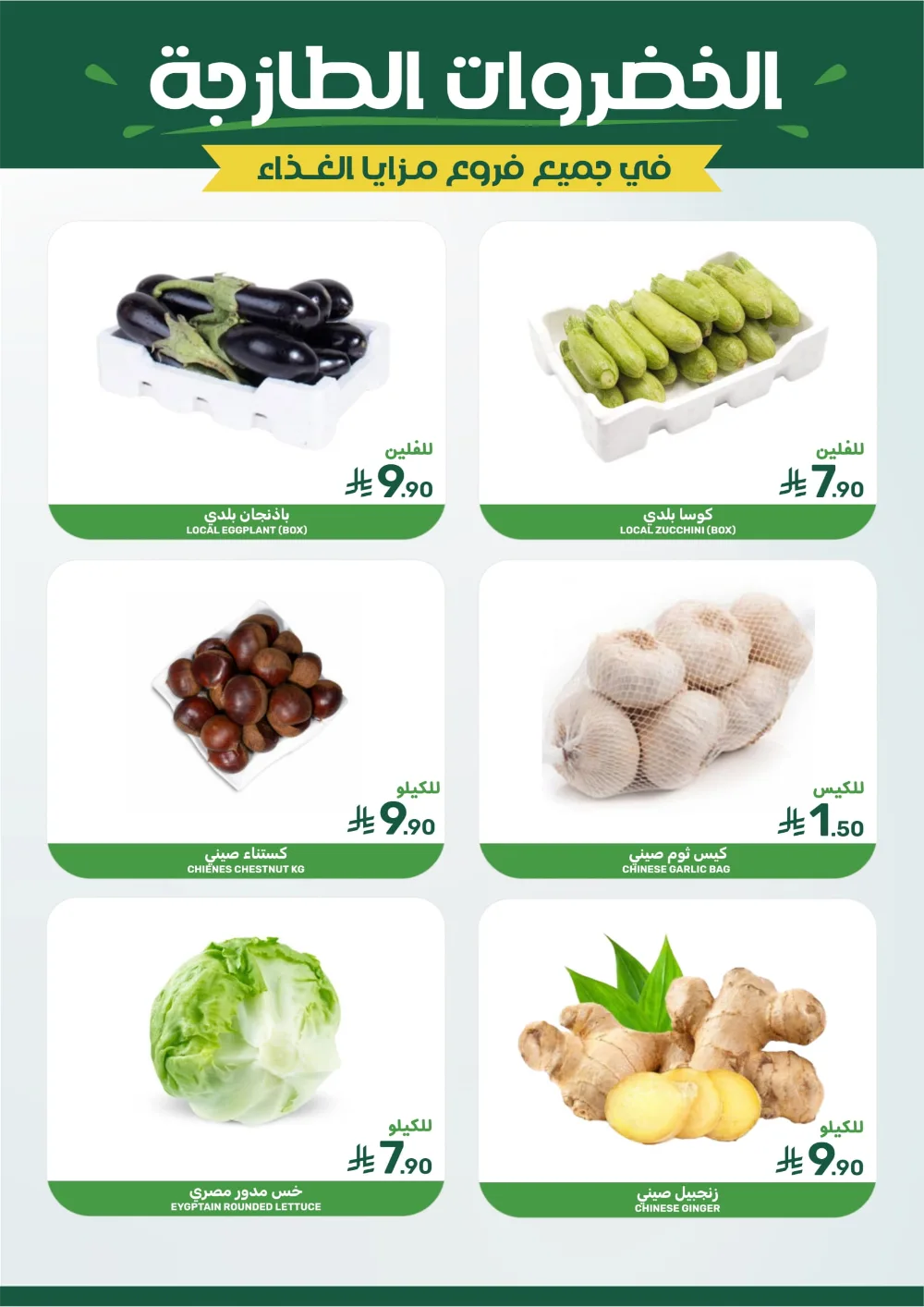 Year-End Mega Savings 2025!