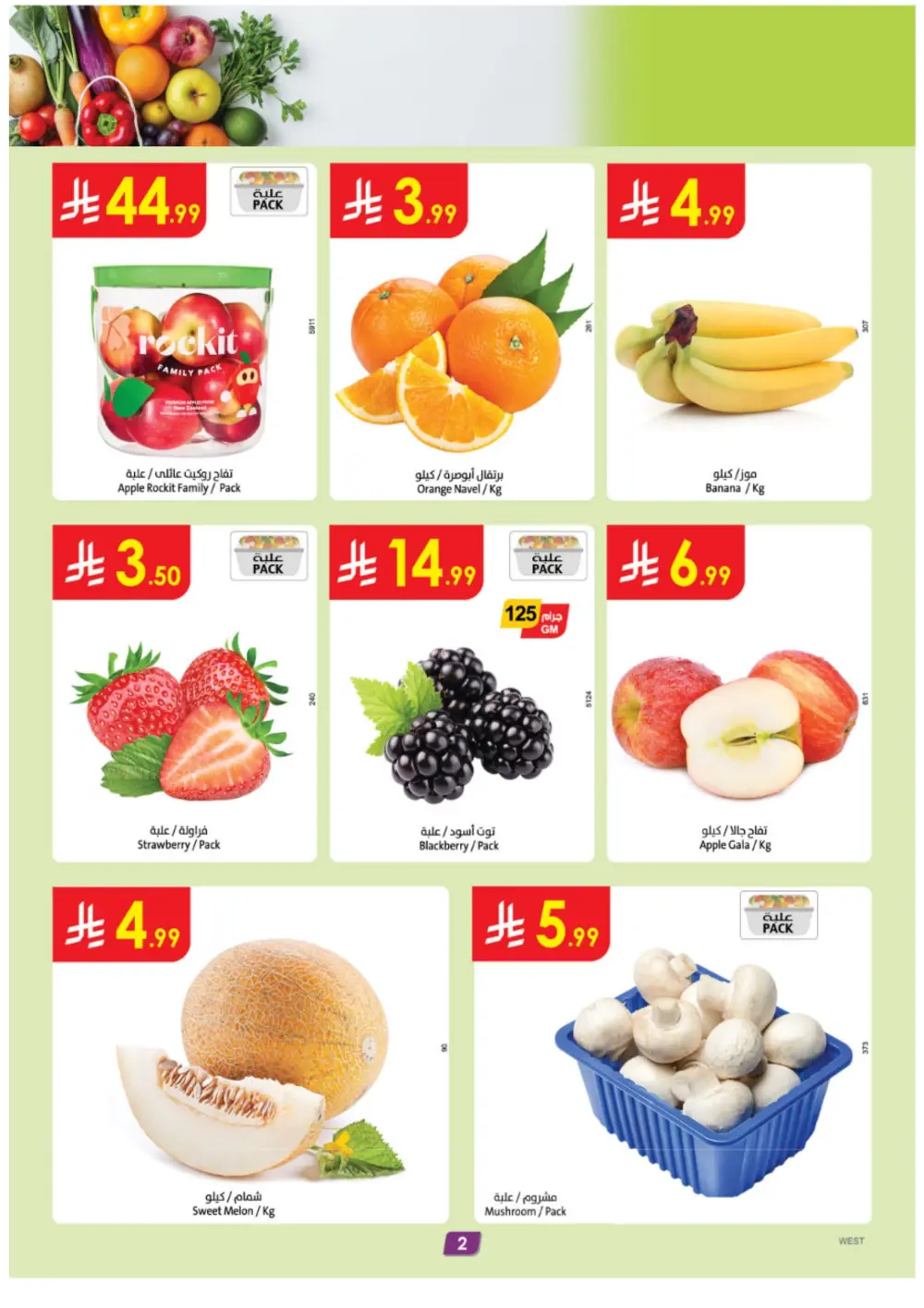 Mega Clearance: Up to 75% Off Winter Deals!