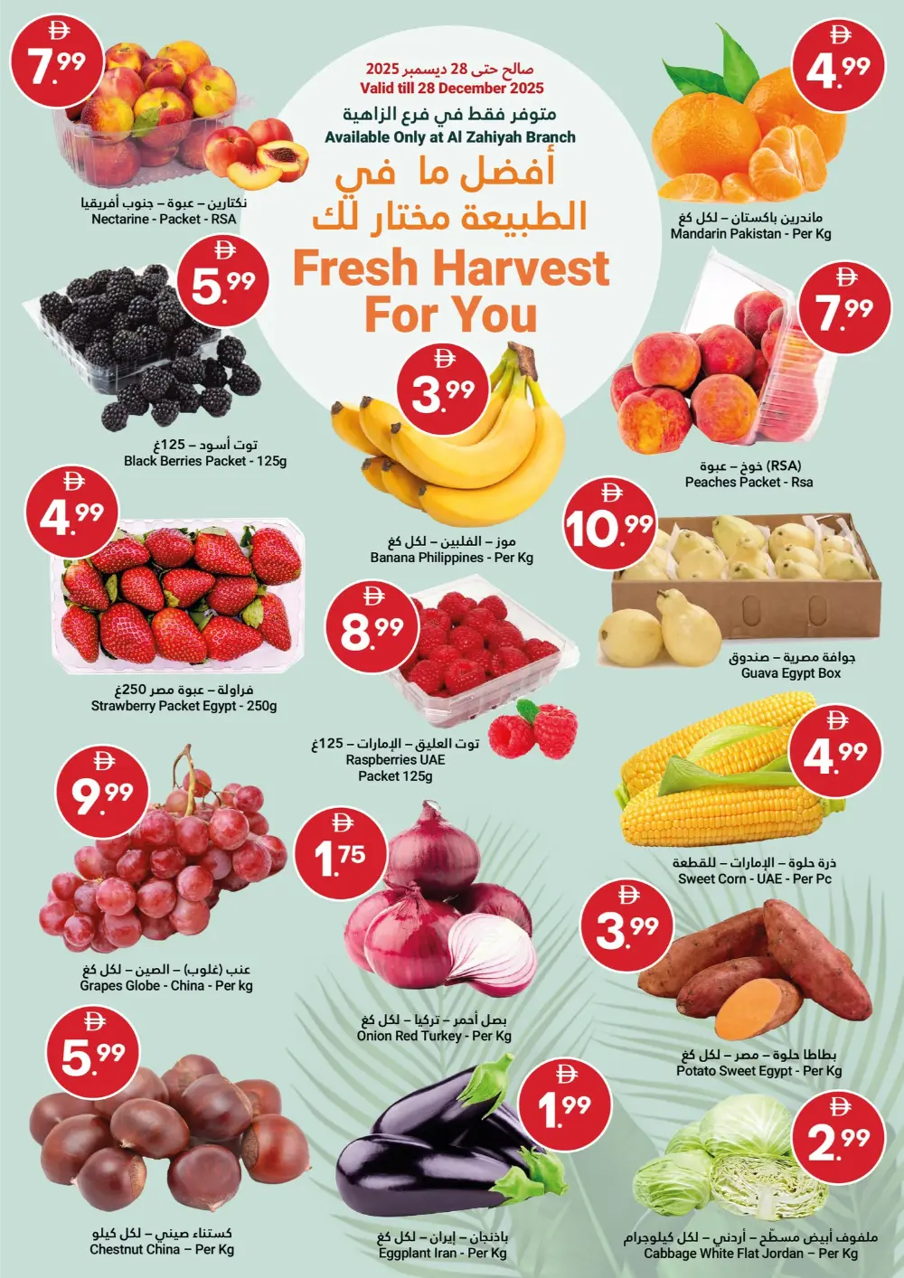 Ultimate Joyful Savings!