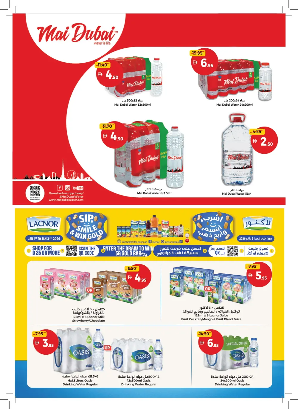 New Year Savings Mega Sale!