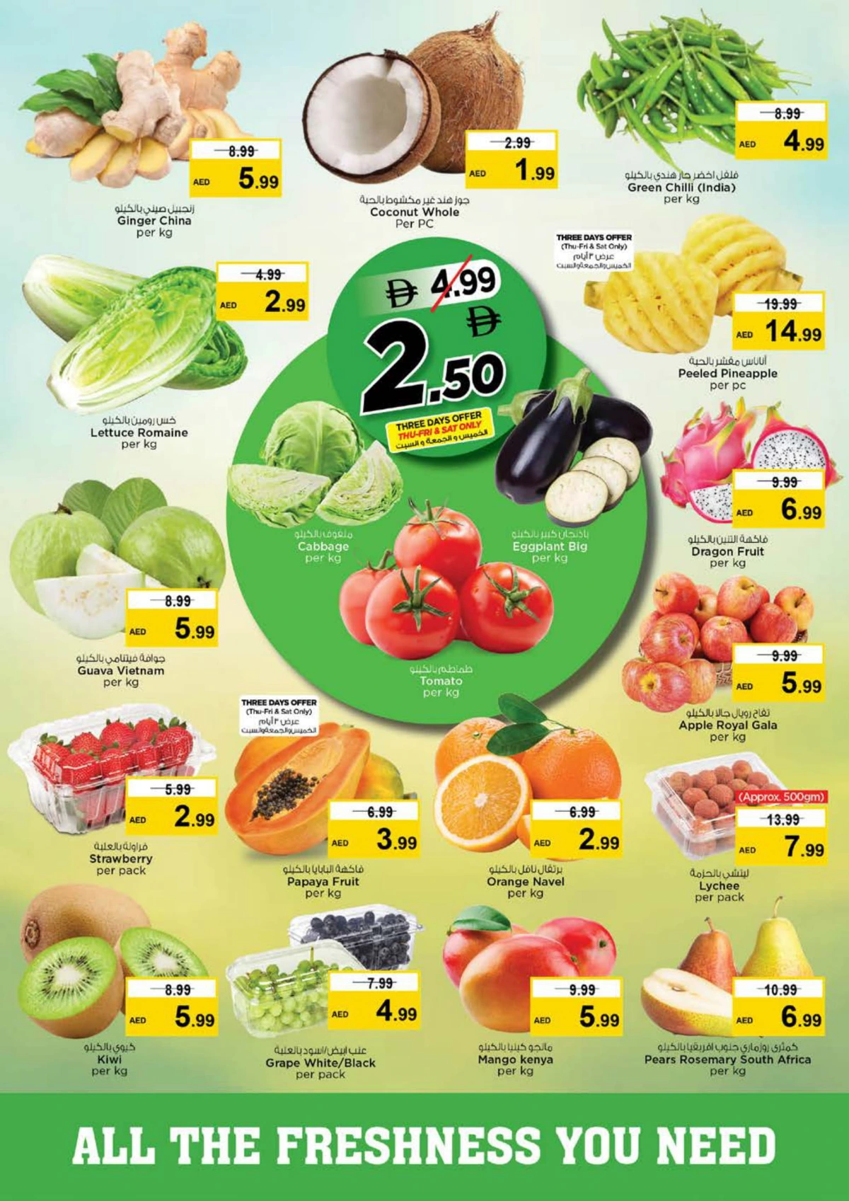 2026 New Year Mega Savings Event