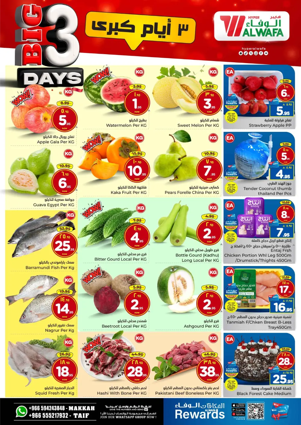 Big 3 Days Mega Sale