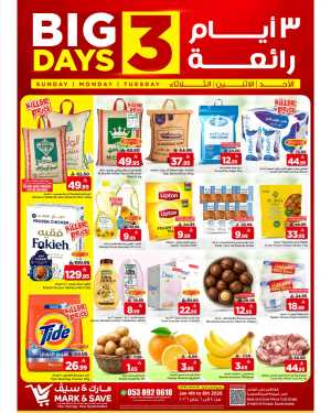 Big 3 Days Sale In Mark & Save Al Khobar