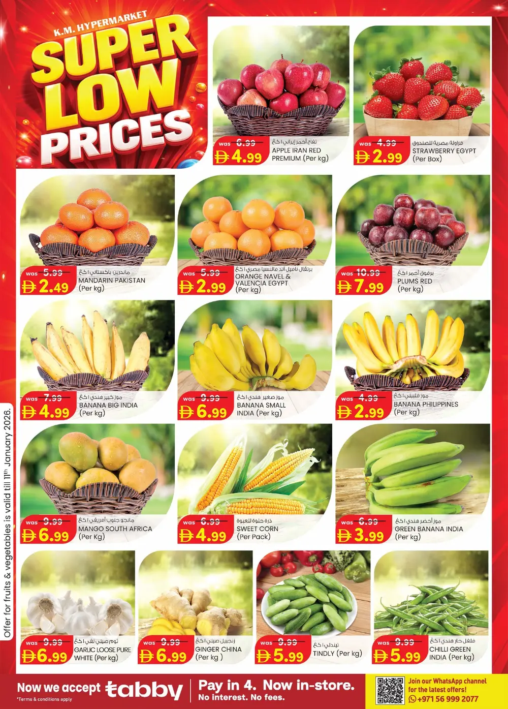 Grocery and Electronics Mega Sale