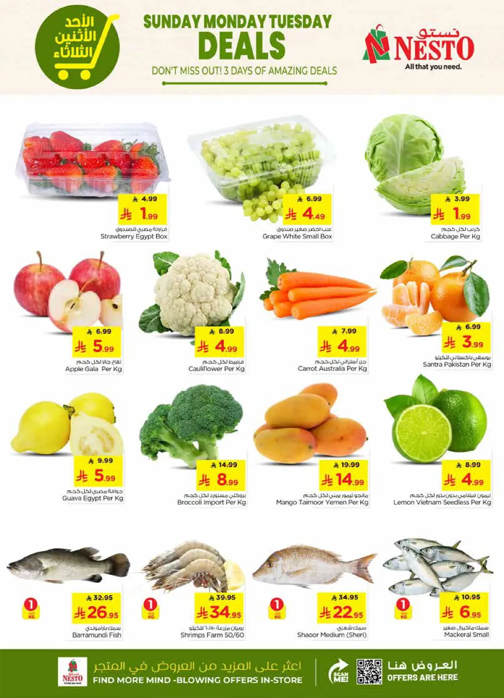 Weekly Electronics & Grocery Deals