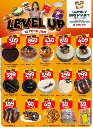 Level up In Family Big Mart Calicut